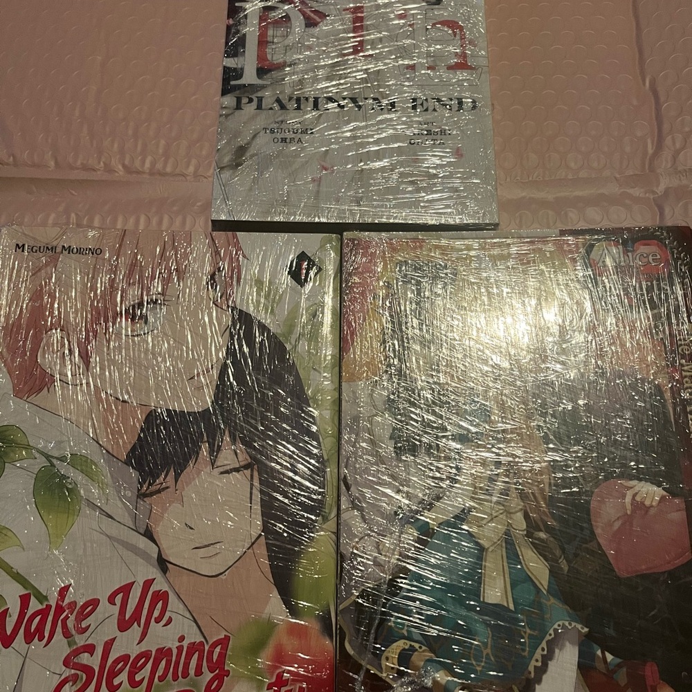 Various Manga Bundle (1st Volumes)